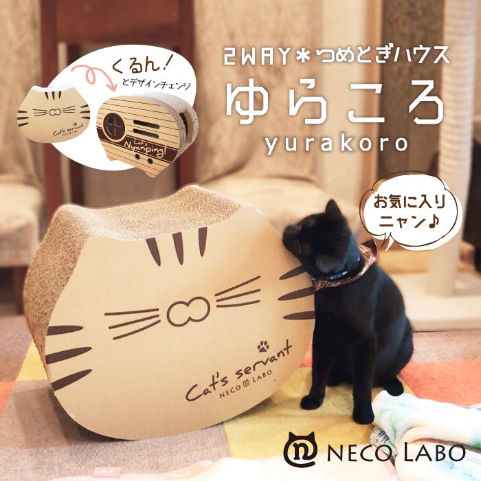 お家時間を愛猫と『ねん猫はんてん』プロジェクト！ - CAMPFIRE (キャンプファイヤー)