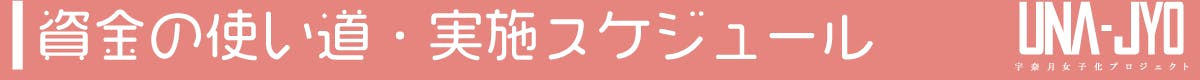 資金の使い道・実施スケジュール