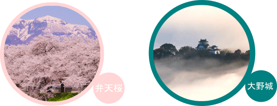 弁天桜 大野城 福井 勝山 民泊 秘密基地