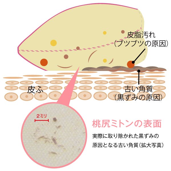スクリーンショット 2019-01-24 21.00.26.png
