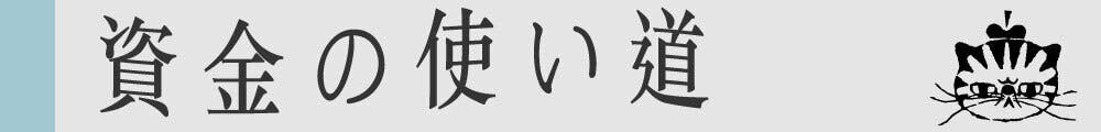 資金の使い道