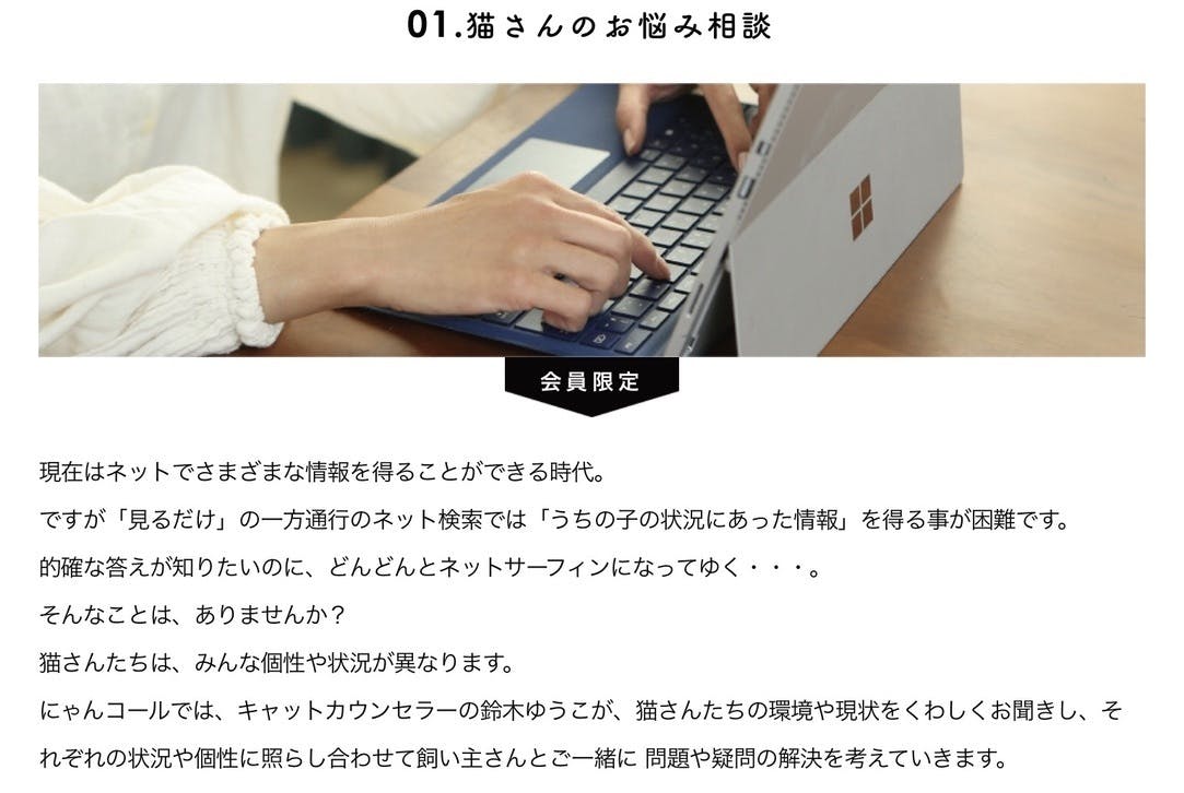 猫のお悩み相談画像