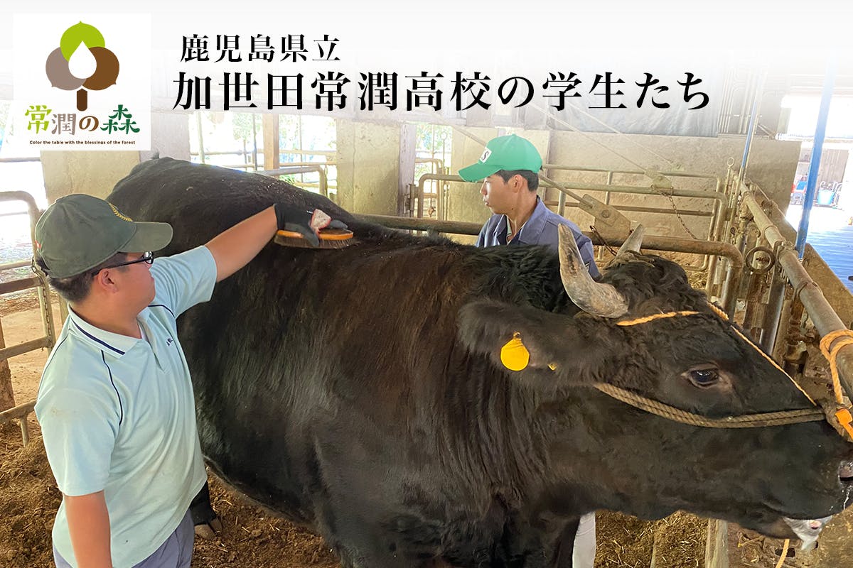 和牛の未来を担う農高生を応援！枝肉共励会出品牛をカミチクグループからお届けします