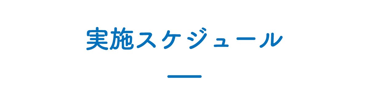 実施スケジュール