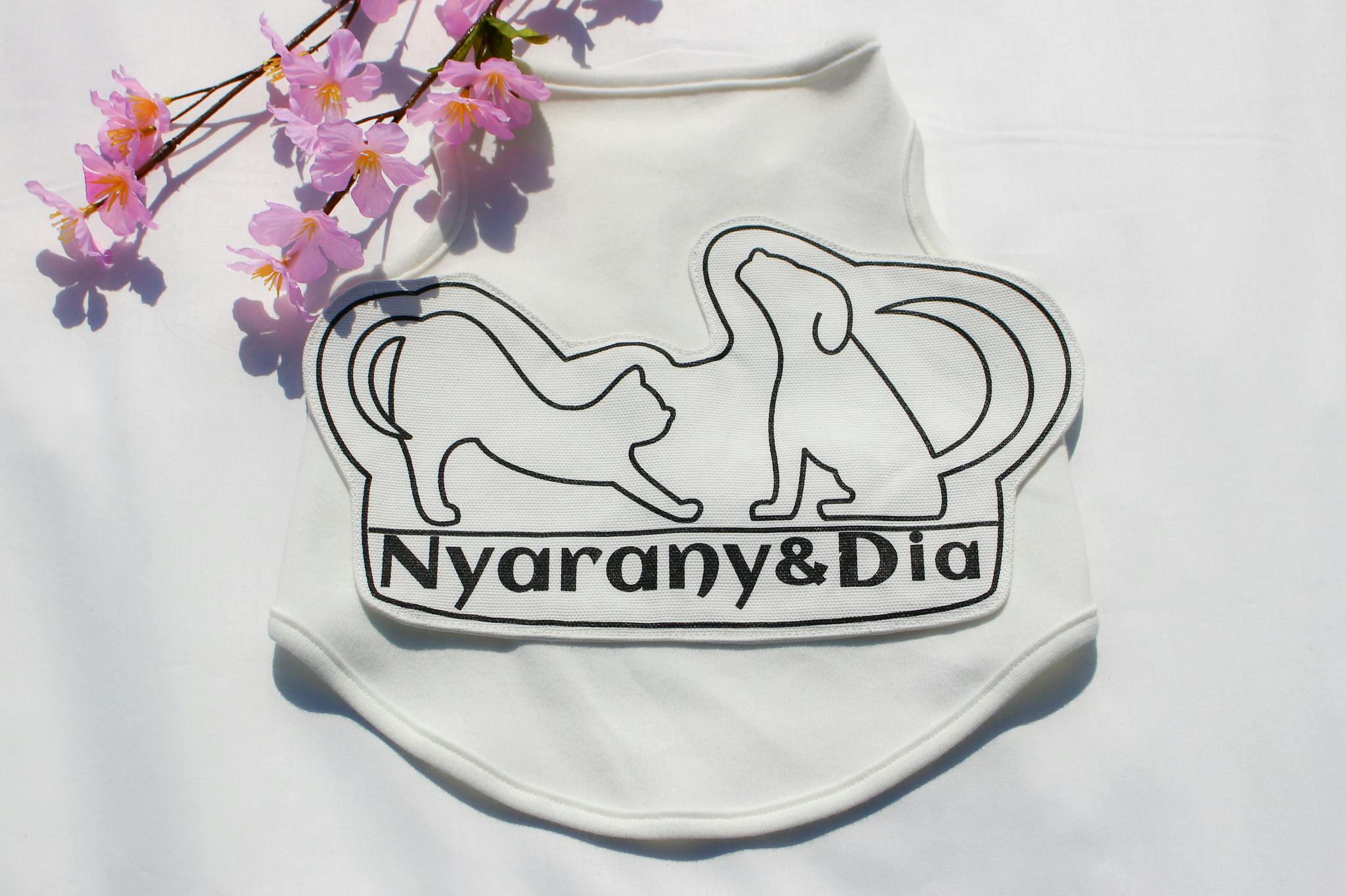 とびだす!Nyarany&Dia