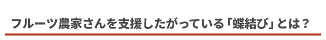 フルーツ農家さんを支援したがっている「蝶結び」とは?