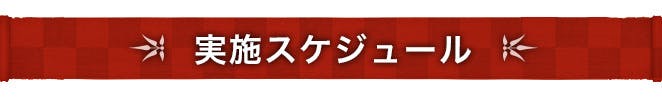 実施スケジュール