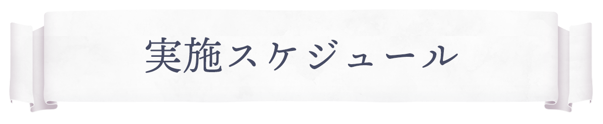 実施スケジュール