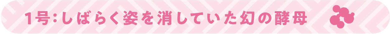 1号:しばらく姿を消していた幻の酵母