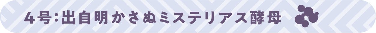 ４号：出自明かさぬミステリアス酵母