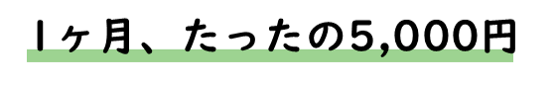 1ヶ月、たったの5000円