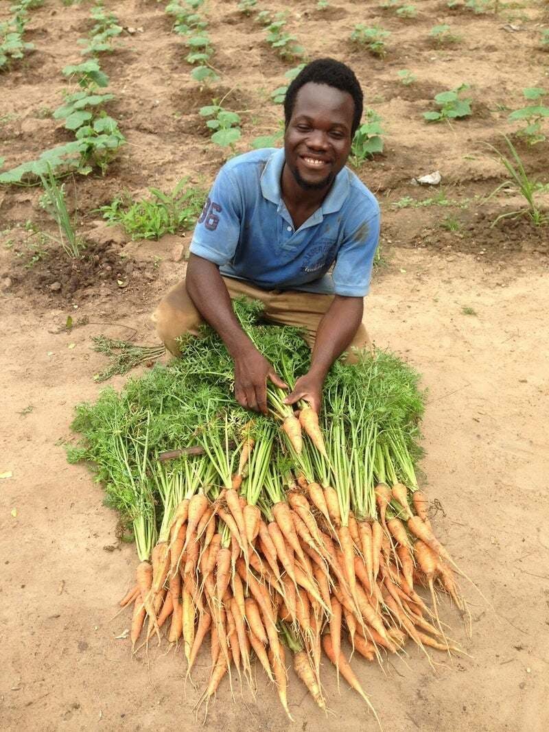 農家さんと野菜の写真