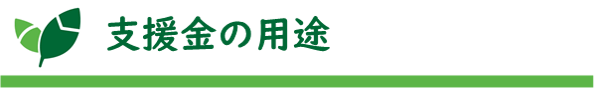 タイトル:支援金の用途