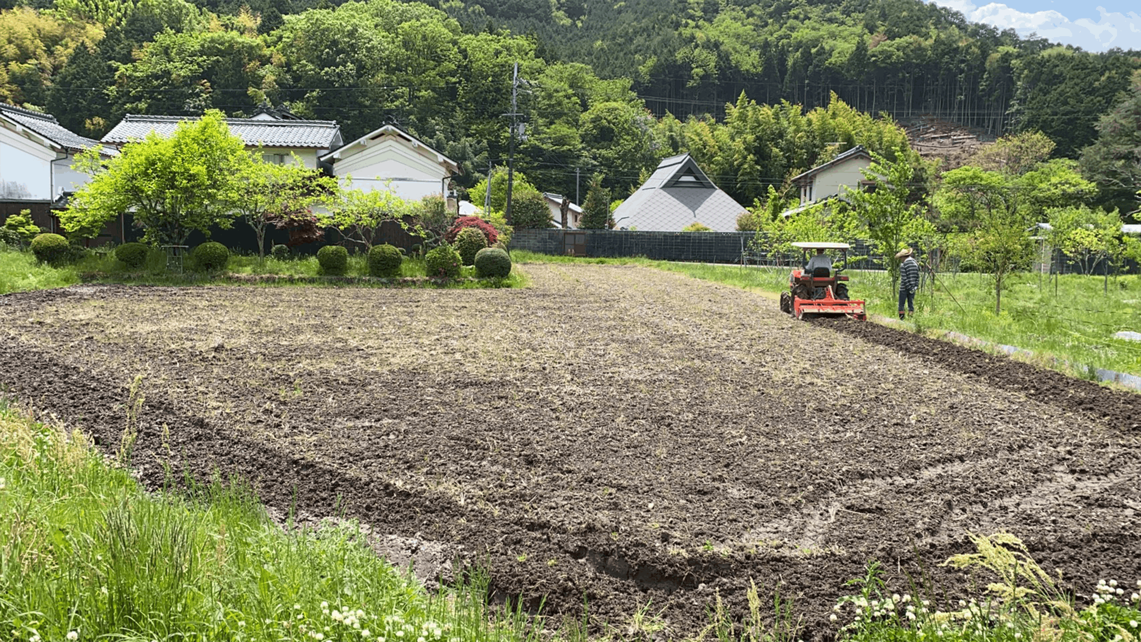 耕運機を使用して畝立て