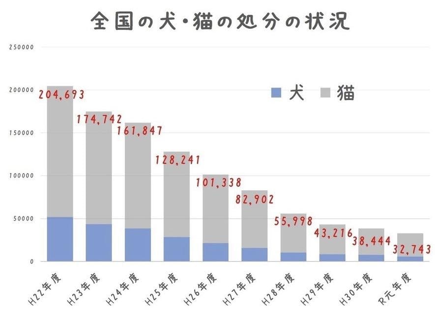 グラフ, 棒グラフ

自動的に生成された説明