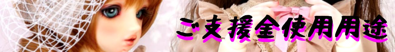ご支援金使用用途