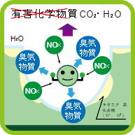 コーティング被膜内の分解メカニズム