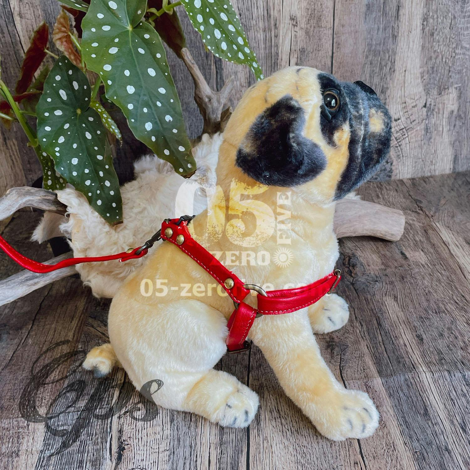 レザーハーネス&リードセット