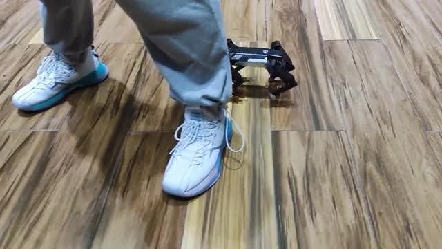 の動画サムネイル