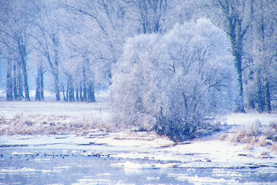 雪景色