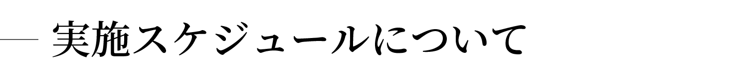 実施スケジュールについて