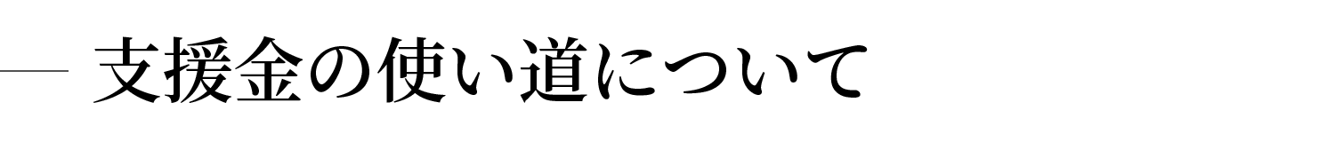 支援金の使い道について