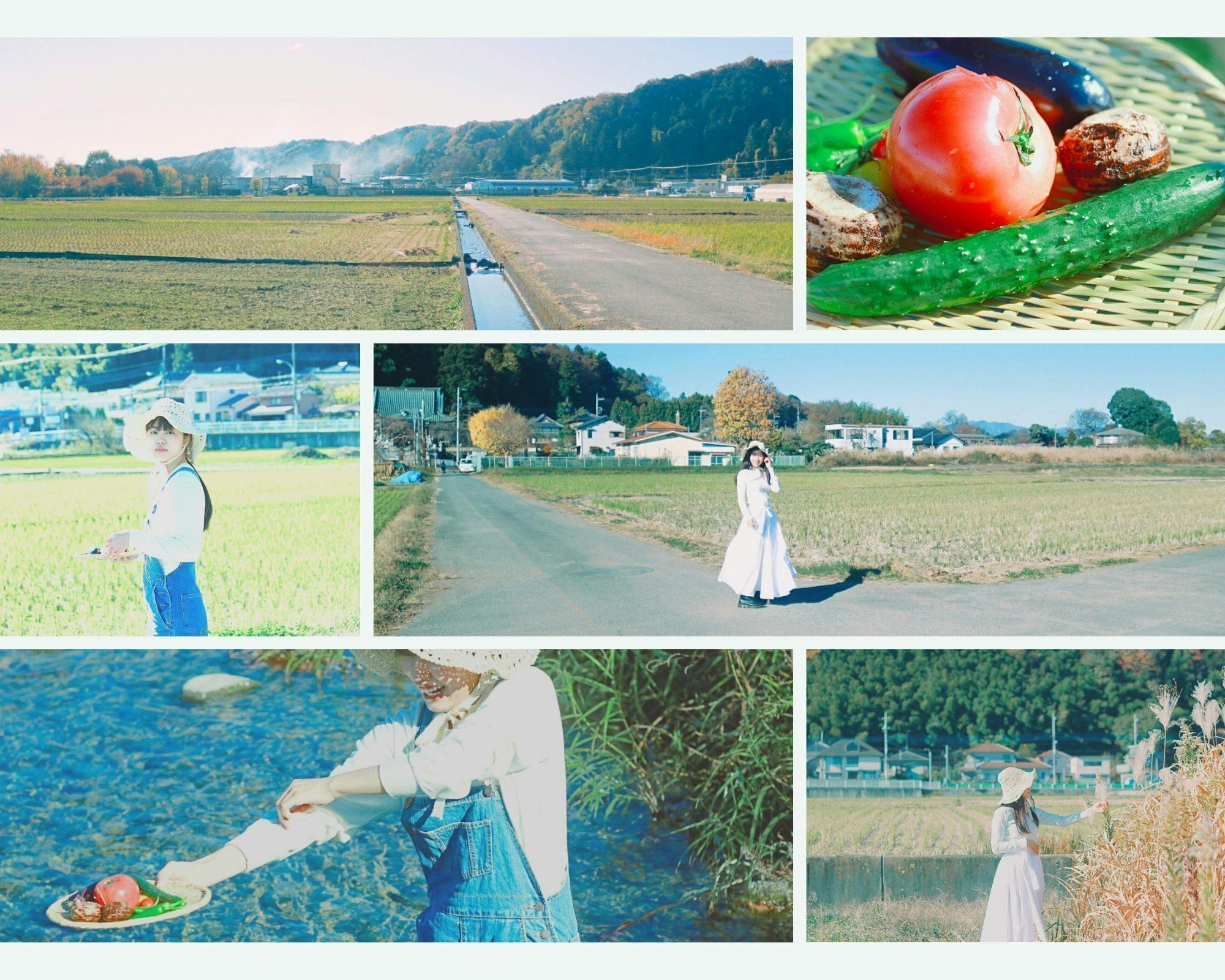 撮影:高埜 志保