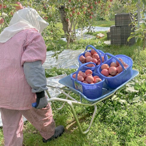 アハアカネ a.ha.akane クラファン