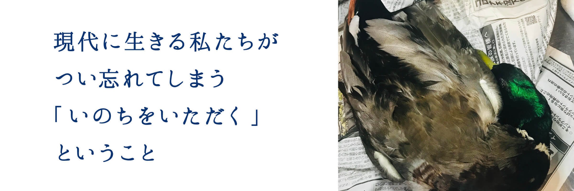 現代に生きる私たちがつい忘れてしまう「いのちをいただく」ということ