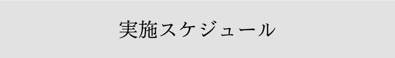 実施スケジュール