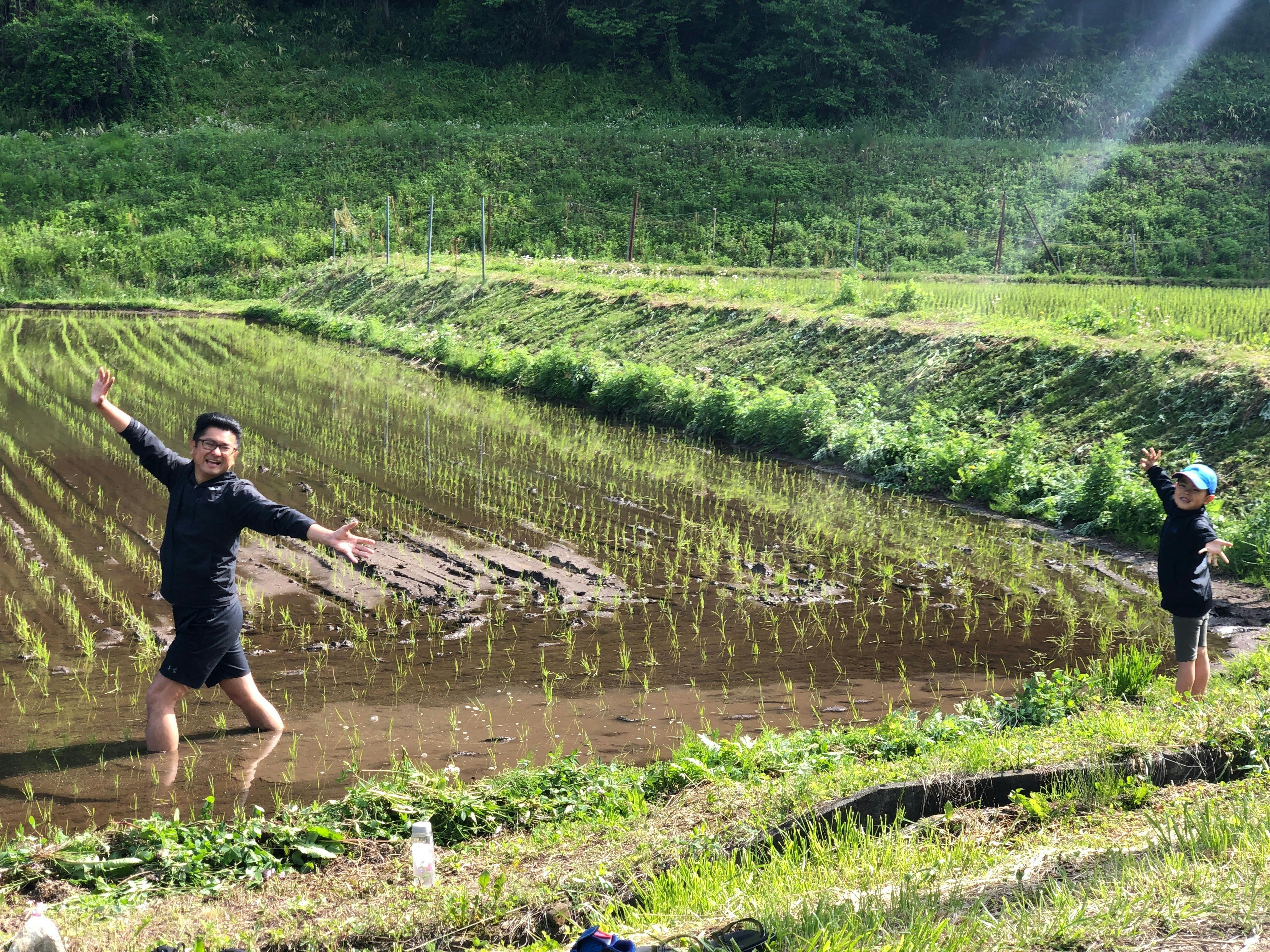 田植え作業 子どもと