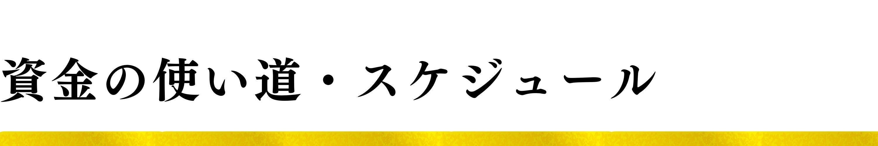 資金の使い道・スケジュール