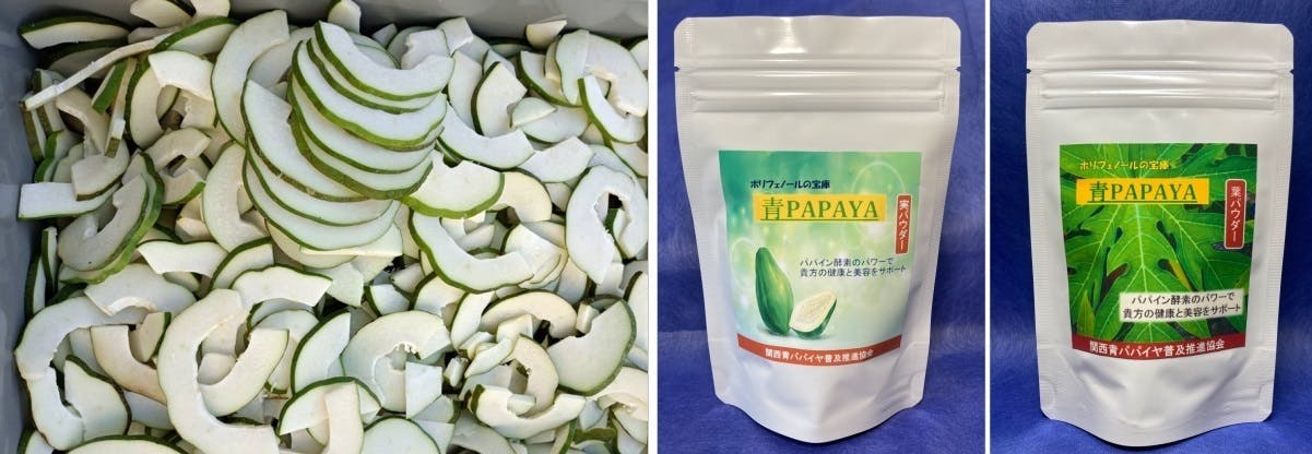 稼げる新農業に挑戦‼「青パパイヤ栽培」6次産業の展開で健康食品