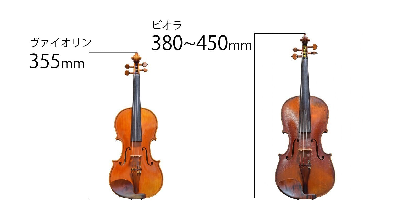 バイオリンとビオラの比較画像