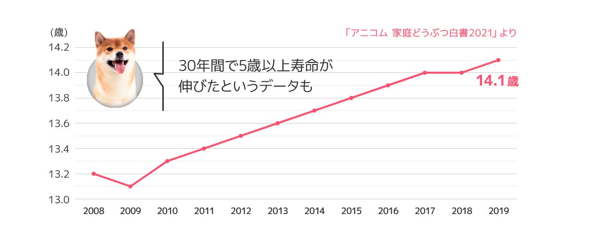 犬の寿命の推移