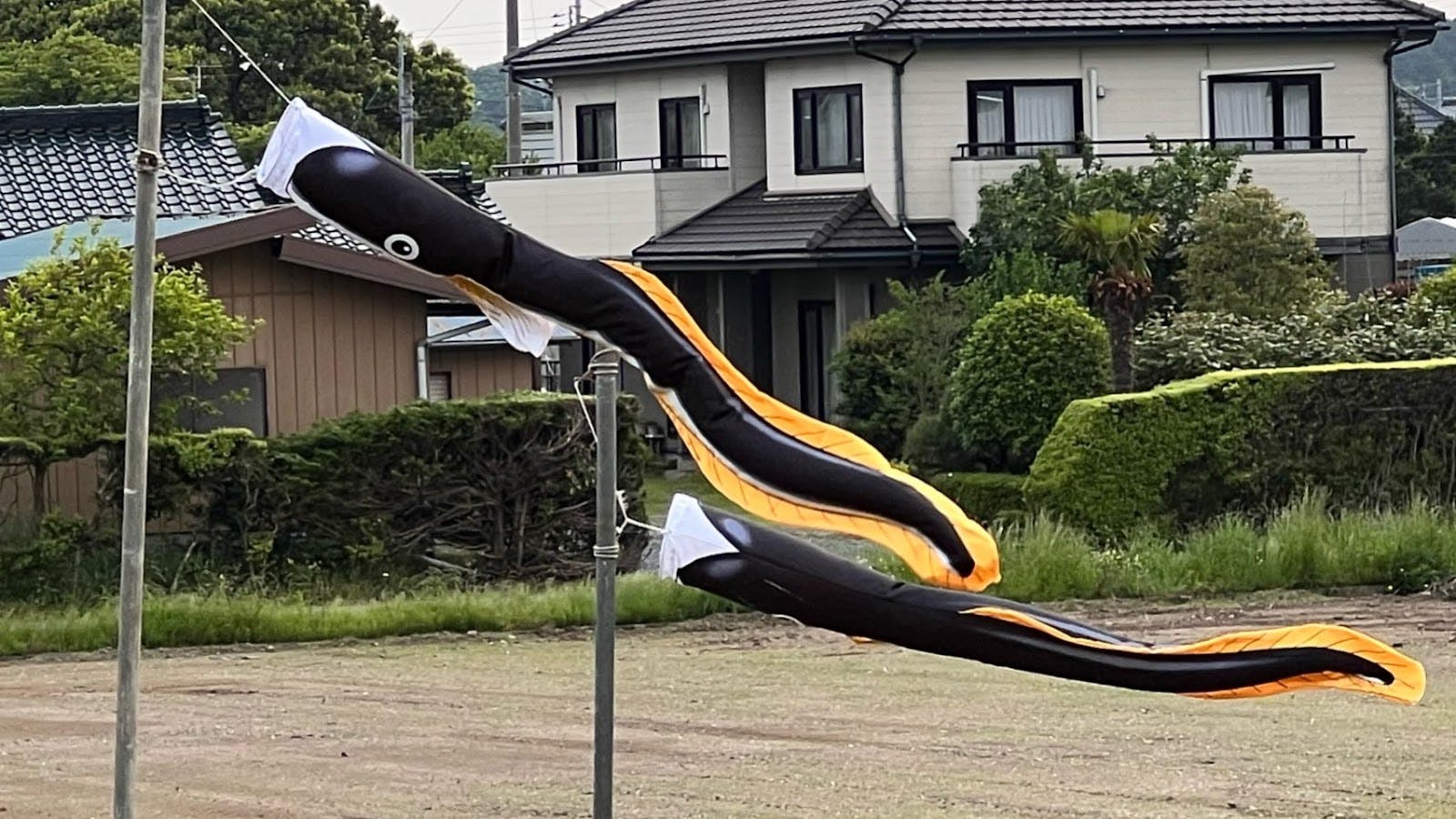 空を泳ぐうなぎのぼり(鯉のぼり)