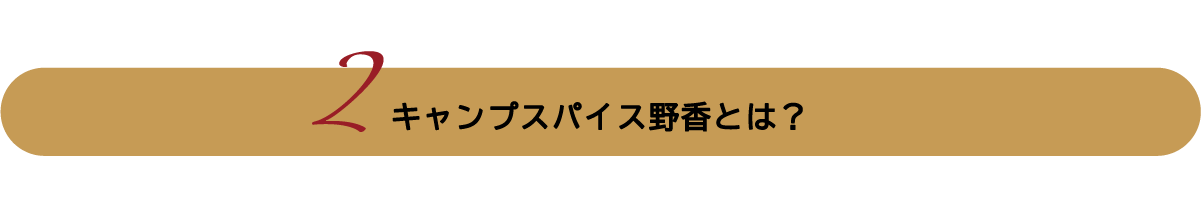 キャンプスパイス野香とは?