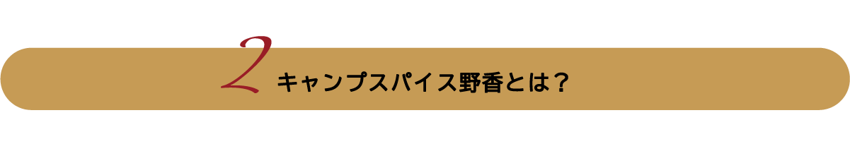 キャンプスパイス野香とは？