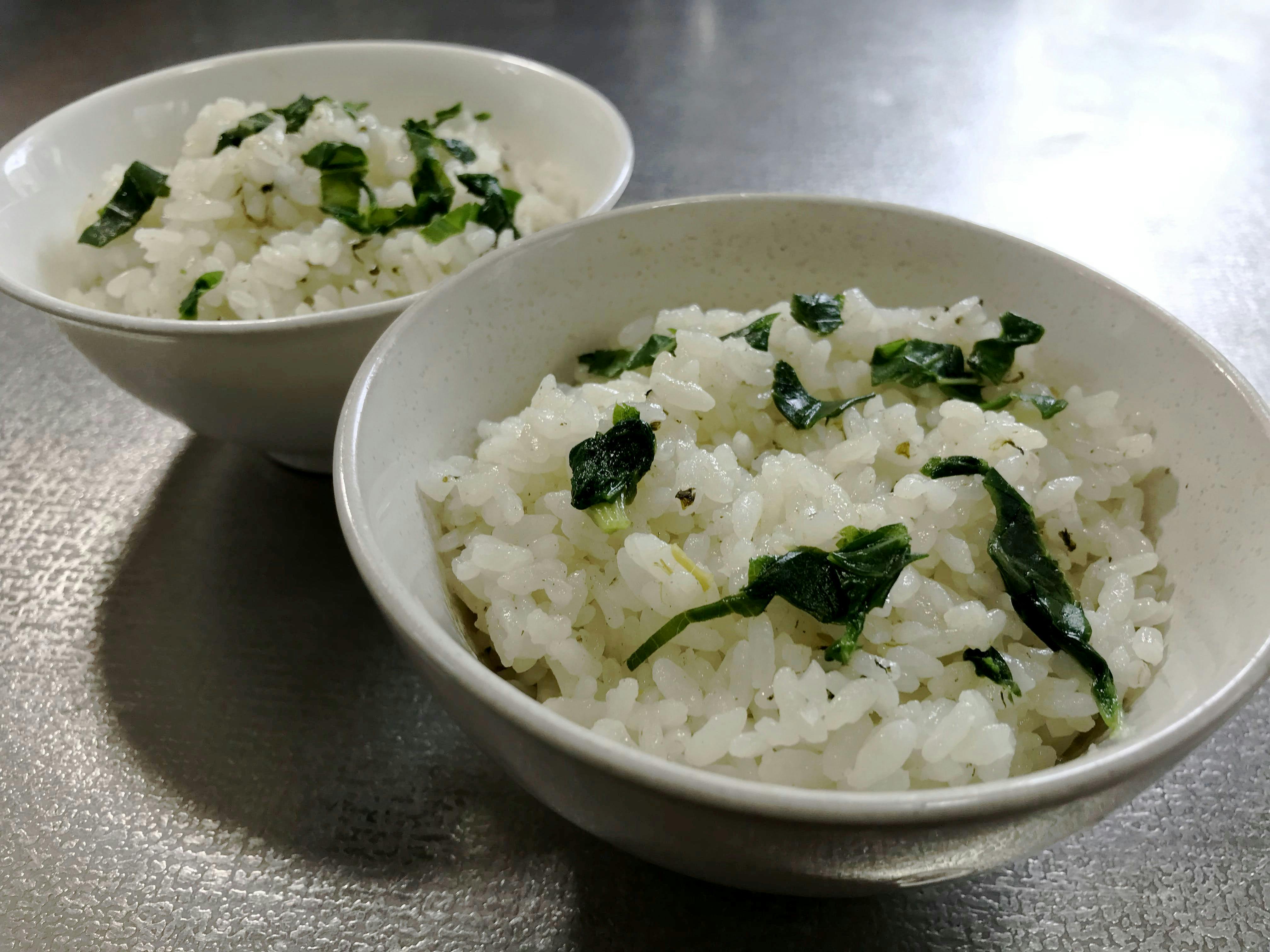 アシタバご飯の試作品