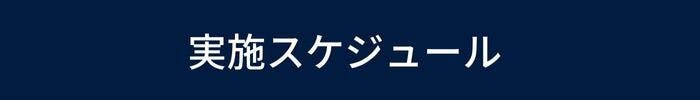 実施スケジュール