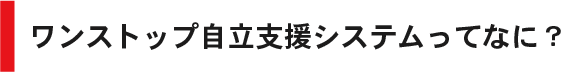 ワンストップ自立支援システムってなに？