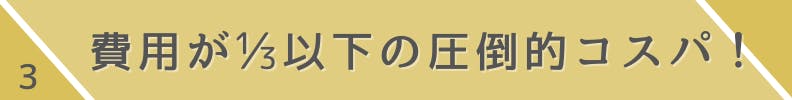 3.費用が3分の1以下の圧倒的コスパ!