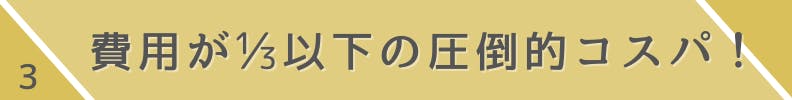 3.費用が3分の1以下の圧倒的コスパ！