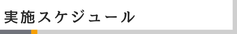 ◆実施スケジュール