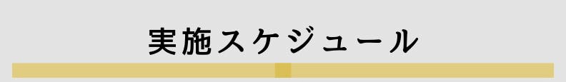 ◆実施スケジュール