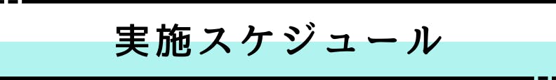 ◆実施スケジュール