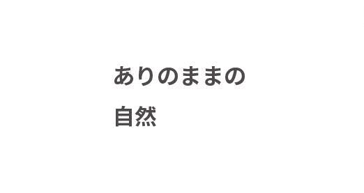 ありのままの自然