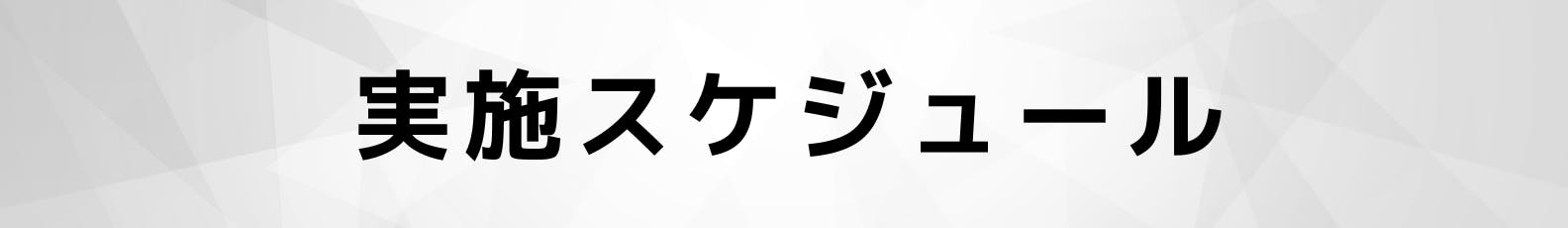 ◆実施スケジュール