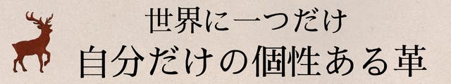 世界に一つだけの革