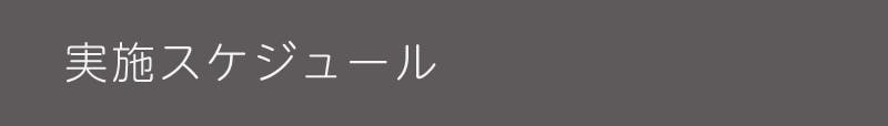 実施スケジュール